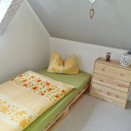 Villa Haus Steindoebra à Klingenthal Extérieur photo