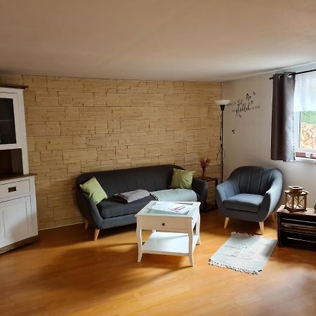 Villa Haus Steindoebra à Klingenthal Extérieur photo