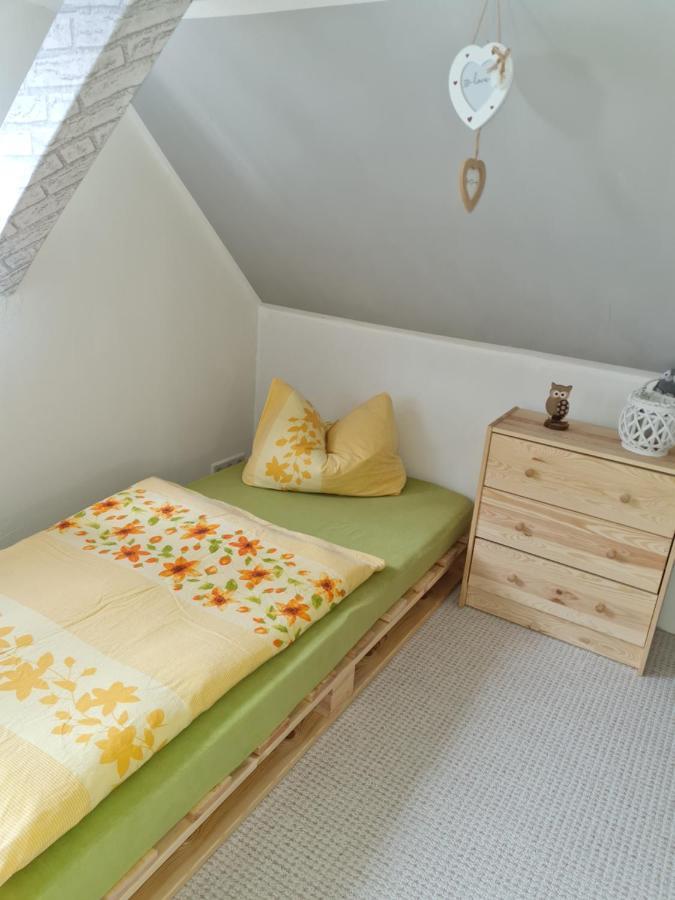 Villa Haus Steindoebra à Klingenthal Extérieur photo