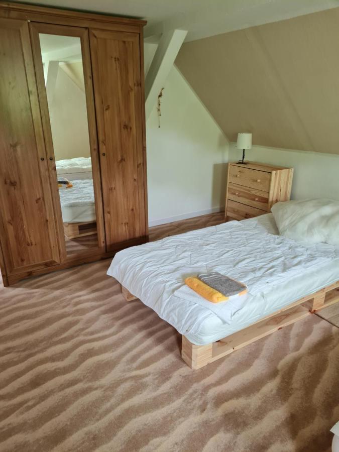 Villa Haus Steindoebra à Klingenthal Extérieur photo
